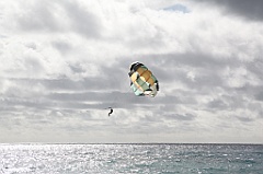 C5D_108339