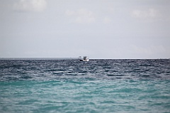 C5D_108341