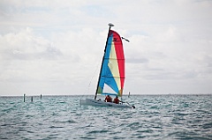 C5D_108348