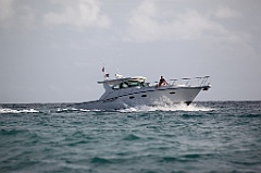 C5D_108376