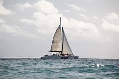 C5D_108383