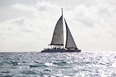C5D_108385