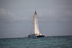 C5D_108424