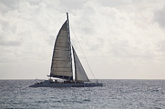 C5D_108438