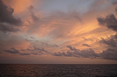 C5D_108474
