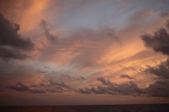 C5D_108477