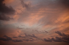 C5D_108479