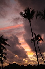 C5D_108497