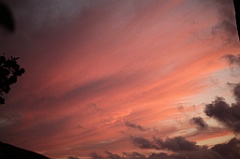 C5D_108498