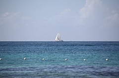 C5D_108965