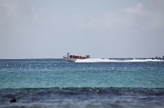 C5D_108968