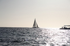 C5D_109011