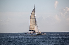 C5D_109022