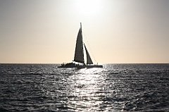C5D_109033
