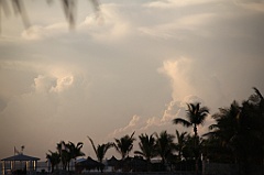 C5D_109091