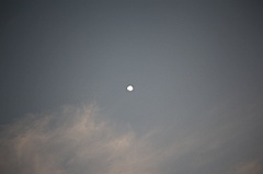 C5D_109149