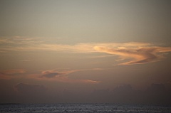 C5D_109154