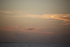 C5D_109155