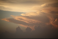 C5D_109156