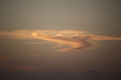 C5D_109158