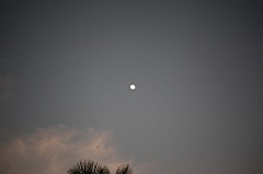 C5D_109160
