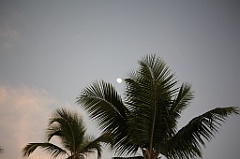 C5D_109161