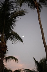 C5D_109168