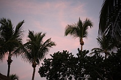 C5D_109170