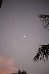 C5D_109171