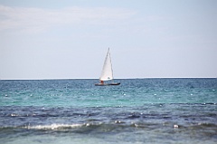C5D_109174