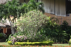 C5D_109191