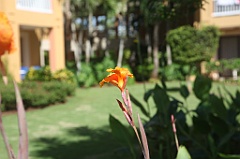 C5D_109221