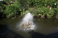 C5D_109253