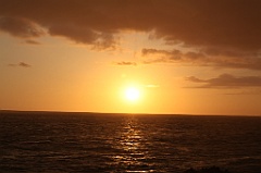 C5D_109354