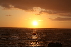 C5D_109358