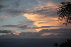 C5D_109447