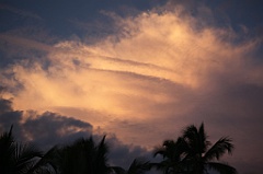 C5D_109453