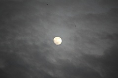 C5D_109455