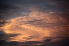 C5D_109458