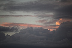 C5D_109460