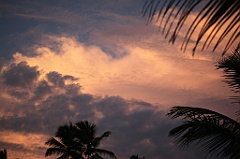 C5D_109462