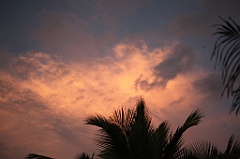 C5D_109470