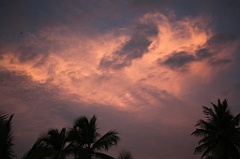C5D_109478