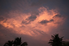 C5D_109479