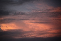C5D_109481