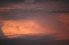 C5D_109482