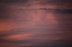 C5D_109483