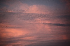 C5D_109484