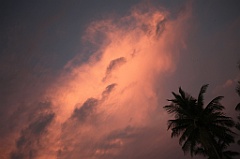 C5D_109485