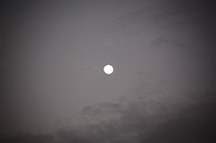 C5D_109488